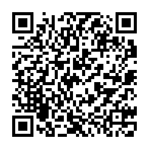 SVIP买1得7 238开通QQ超会+B站大会员+爱奇艺/芒果/网易云插图1羊毛日报