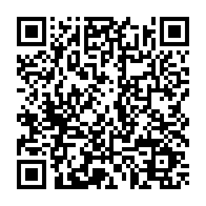 网易严选新用户0元购行李箱，全额返无门槛礼品卡插图1羊毛日报