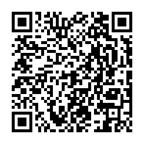 免费领网易严选Pro纯享会员月卡插图1羊毛日报