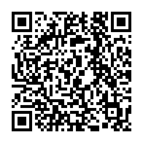 31元开通1年云闪付62VIP会员插图2羊毛日报