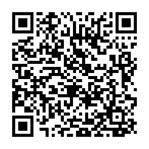 教师免费领半年腾讯文档会员插图1羊毛日报