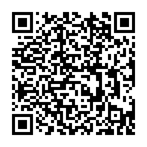 建设银行福利大转盘，每天抽10~1000CC豆插图1羊毛日报