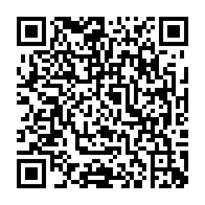 王卡助手夏日游乐场抽各类会员、Q币插图1羊毛日报