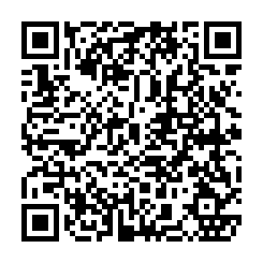 移动用户投票得5元话费，目前大水插图1羊毛日报