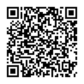 酒便利免费领科帝罗德式小麦精酿白啤酒500ml ，每人限2听插图1羊毛日报