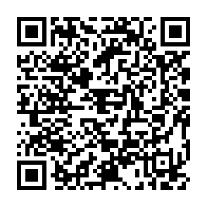 网上国网答题抽2~50元电费券插图1羊毛日报