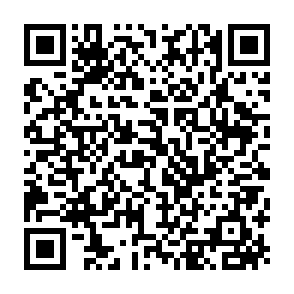 麦当劳抽5万份0元免单霸王餐插图1羊毛日报