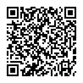 电信查看年度账单领1元话费插图1羊毛日报