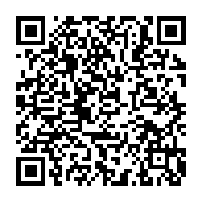 三网用户免费领移动云手机周卡，抽最高100元现金红包插图1羊毛日报