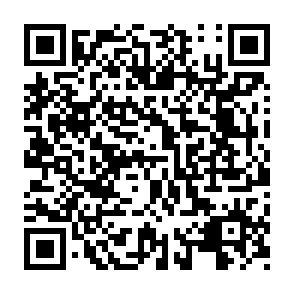 南方基金六一输口令抽现金红包，100%中奖插图1羊毛日报