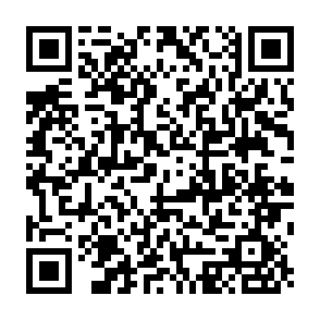 CoCo下雨天到店免费领透明伞插图1羊毛日报