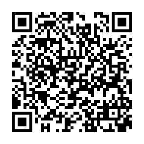 建行1分钱买12张0.99元乘车券插图1羊毛日报