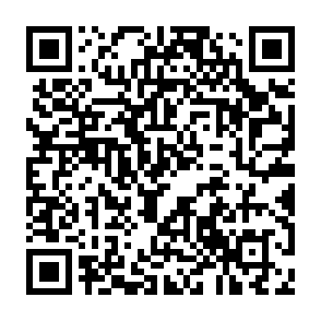 联通助理抽1~100元话费或流量插图1羊毛日报