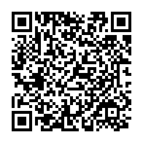 支付宝直播2.9元撸16包抽纸插图1羊毛日报