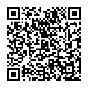 支付宝领5~10元高德或滴滴券插图1羊毛日报