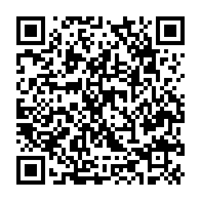 支付宝直接领取150会员积分插图1羊毛日报