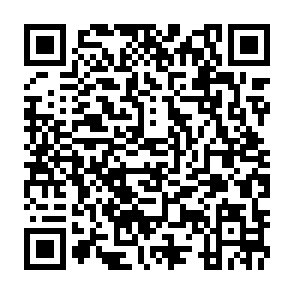 网易云音乐聊天大挑战，抽1~365天会员插图1羊毛日报