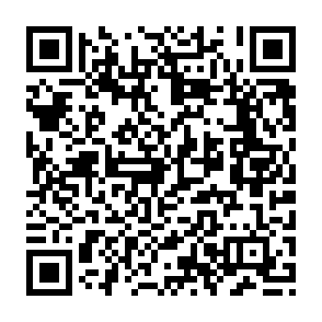 免费领淘票票淘麦VIP会员月卡插图1羊毛日报