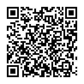 QQ龙年集卡抽取瓜分百万红包插图1羊毛日报