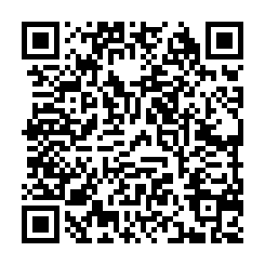 联通盲盒抽优酷或酷狗会员等插图1羊毛日报