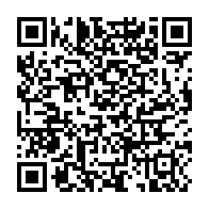 移动用户直接领300~800积分插图2羊毛日报