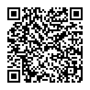 【每月】中国移动 x 支付宝，每月免费领600~1000和包积分插图1羊毛日报