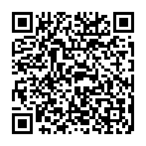 支付宝简单撸2元通用消费红包插图1羊毛日报