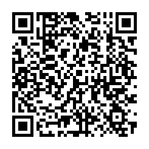 2元开通10天喜马拉雅巅峰会员插图1羊毛日报