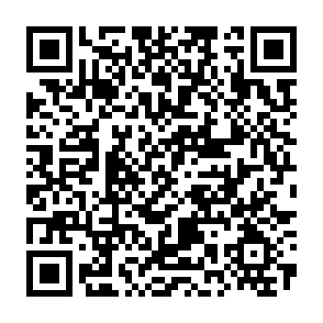 支付宝免费领1个月Apple Music会员插图1羊毛日报