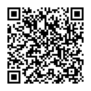 支付宝免费领碰一下收钱小蓝环插图1羊毛日报