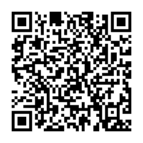 支付宝全民消防问答，抽红包或打车券等插图1羊毛日报