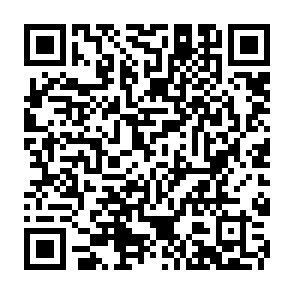 移动用户抽1~10元话费加赠券插图1羊毛日报