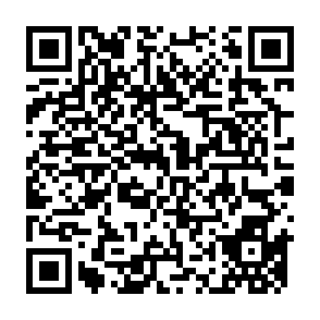 移动用户免费领2张2GB流量，有效期7天、30天插图1羊毛日报