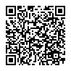 208元买1得7：网易云、哔哩、优酷、QQ超会、喜马拉雅等年卡插图1羊毛日报