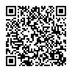 下载节奏大师免费领7~365天豪华绿钻会员插图1羊毛日报