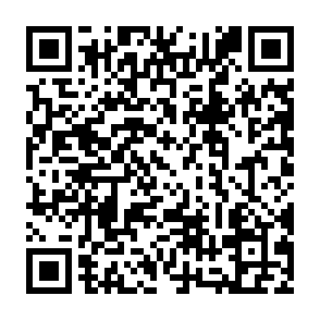 QQ音乐2023年听歌报告来啦插图1羊毛日报